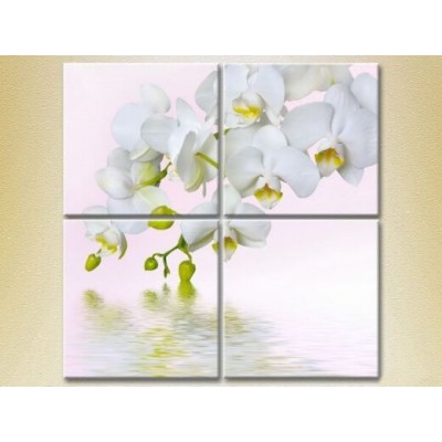 Картина Rainbow Polyptych White Orchid (2932374)