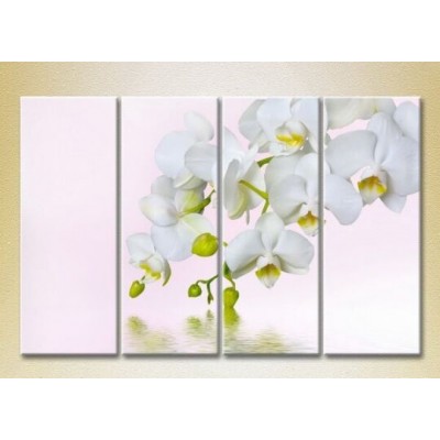 Картина Rainbow Polyptych White Orchid 01 (2932299)