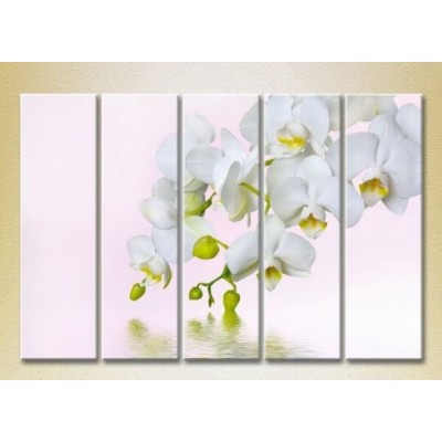 Картина Rainbow Polyptych White Orchid 02 (2932796)