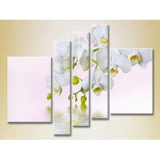 Картина Rainbow Polyptych White Orchid 03 (2932906)