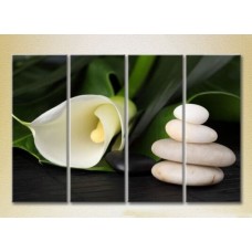 Картина Rainbow Polyptych White Calla Lilies 01 (2932286)