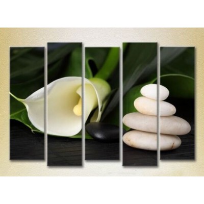 Картина Rainbow Polyptych White Calla lilies 06 (2932794)