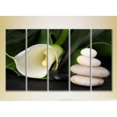 Картина Rainbow Polyptych White Calla lilies 07 (2932905)