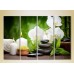 Картина Rainbow Polyptych White orchids and bamboo (2932266)