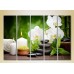 Картина Rainbow Polyptych White Orchids and Bamboo 03 (2932795)