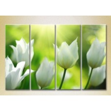 Картина Rainbow Polyptych White Tulips 01 (2932268)