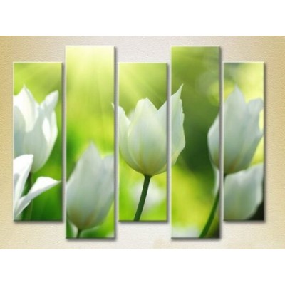 Картина Rainbow Polyptych White Tulips 02 (2932801)