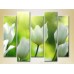 Картина Rainbow Polyptych White Tulips 02 (2932801)