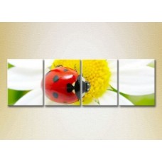 Pictură Rainbow Polyptych Ladybug on a camomile 01 (2222216)