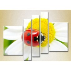 Картина Rainbow Polyptych Ladybug on a camomile 03 (2224636)