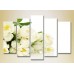 Картина Rainbow Polyptych Bouquet of white tulips 04 (2932797)