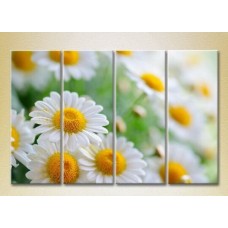 Pictură Rainbow Polyptych Bouquet of daisies (2932270)