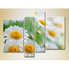 Pictură Rainbow Polyptych Bouquet of daisies 01 (2932271)