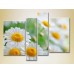 Картина Rainbow Polyptych Bouquet of daisies 01 (2932271)