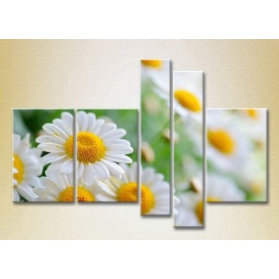 Картина Rainbow Polyptych Bouquet of daisies 03 (2932798)