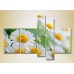 Картина Rainbow Polyptych Bouquet of daisies 03 (2932798)