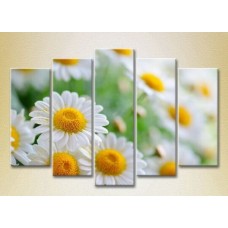 Картина Rainbow Polyptych Bouquet of daisies 04 (2932799)