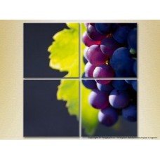 Картина Rainbow Polyptych Grapes Lydia 01 (2220230)