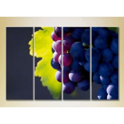 Картина Rainbow Polyptych Grapes Lydia 02 (2220280)