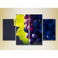 Картина Rainbow Polyptych Grapes Lydia 03 (2220251)