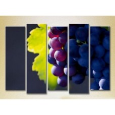 Картина Rainbow Polyptych Grapes Lydia 04 (2224567)