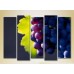 Картина Rainbow Polyptych Grapes Lydia 04 (2224567)