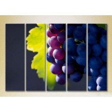 Картина Rainbow Polyptych Grapes Lydia 05 (2224617)