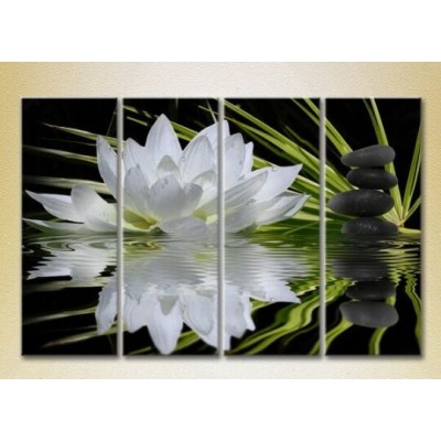 Картина Rainbow Polyptych Water lily and massage stones 01 (2932272)