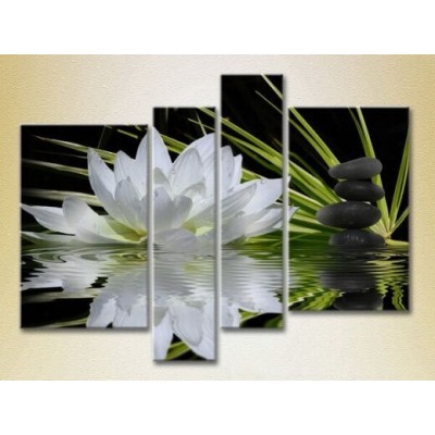 Картина Rainbow Polyptych Water lily and massage stones 02 (2932273)