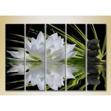 Картина Rainbow Polyptych Water Lily and Massage Stones 03 (2932800)