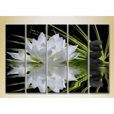 Картина Rainbow Polyptych Water Lily and Massage Stones 03 (2932800)