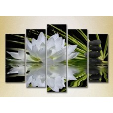 Картина Rainbow Polyptych Water Lily and Massage Stones 04 (2932872)