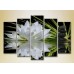 Картина Rainbow Polyptych Water Lily and Massage Stones 04 (2932872)