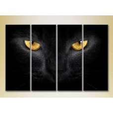 Картина Rainbow Polyptych Eyes of a Black Cat 01 (2222219)