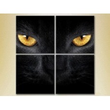 Картина Rainbow Polyptych Eyes of a Black Cat 02 (2222220)