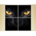 Картина Rainbow Polyptych Eyes of a Black Cat 02 (2222220)