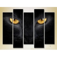 Картина Rainbow Polyptych Eyes of a Black Cat 03 (2224622)