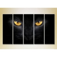 Картина Rainbow Polyptych Eyes of a Black Cat 04 (2224626)