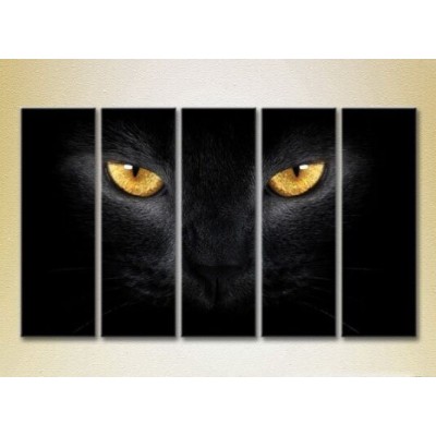 Картина Rainbow Polyptych Eyes of a Black Cat 04 (2224626)