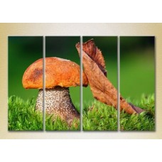 Картина Rainbow Polyptych Mushroom and leaf (2932276)