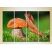 Картина Rainbow Polyptych Mushroom and leaf (2932276)