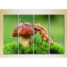 Картина Rainbow Polyptych Mushroom in green grass (2220240)