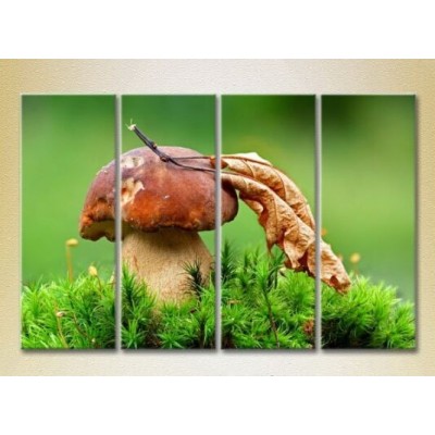 Pictură Rainbow Polyptych Mushroom in green grass (2220240)