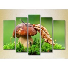 Картина Rainbow Polyptych Mushroom in green grass 01 (2224600)