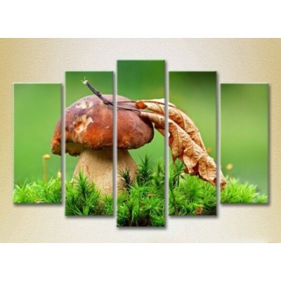 Pictură Rainbow Polyptych Mushroom in green grass 01 (2224600)