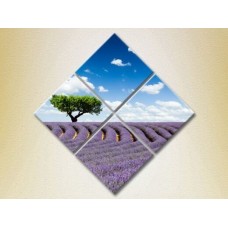 Картина Rainbow Polyptych Tree in a lavender field (2223666)