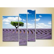 Картина Rainbow Polyptych Tree in a lavender field 02 (2223668)