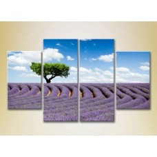 Картина Rainbow Polyptych Tree in a lavender field 04 (2223685)