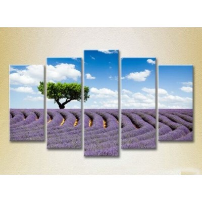 Картина Rainbow Polyptych Tree in a lavender field 08 (2224809)