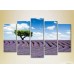 Картина Rainbow Polyptych Tree in a lavender field 08 (2224809)